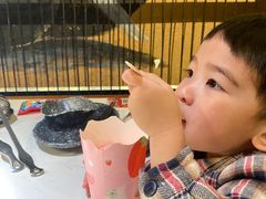 -哥老官重庆美蛙鱼头(圆融广场店)