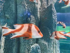 -福州罗源湾海洋世界旅游区