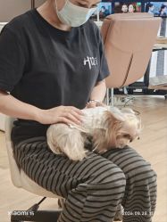 -H12 STAR日式美甲美睫专门店