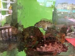 -海月湾海景餐厅( 嵊泗本地老字号店)