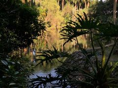 -滴水岩森林公园