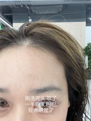 -世田造型