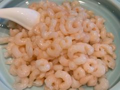 -同济大酒店(绿宝广场店)