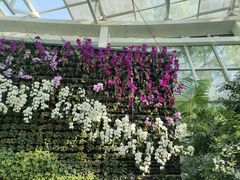 -石家庄市植物园