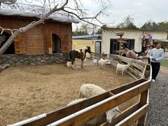 -HERRE·FARM 赫尔露营农场·团建聚会包场