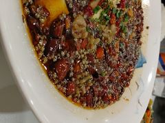 -金熊猫川菜餐厅