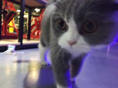 -KingBull私教健身&格斗订制(龙井商业中心店)