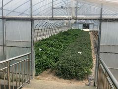 -紫阳家宴(源深店)