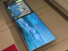 -大鸭梨烤鸭(金色漫香店)