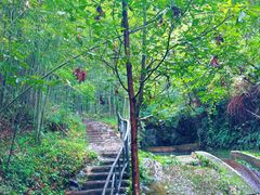 -夏霖九天银瀑风景区