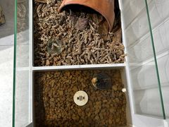 -何顺华吉他沙龙