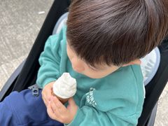 -富豪雪糕车流动点(尖沙咀)