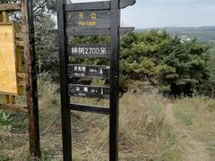 -高尔山公园