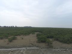 -北海金海湾红树林生态旅游区