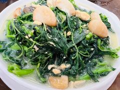 上汤苋菜-腰记饭店(龙源路店)