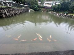-石排湾郊野公园