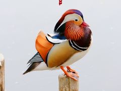 -颐和园