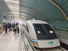 -龙阳路磁悬浮列车总站-停车场