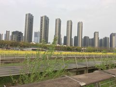 -南京眼步行桥