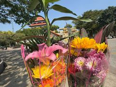 -广州莲花山旅游区