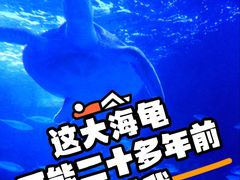 -太平洋海底世界