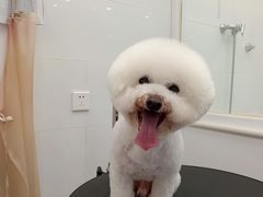 -美联众合24小时·皮肤科·外科·全科诊疗中心(华苑分院)