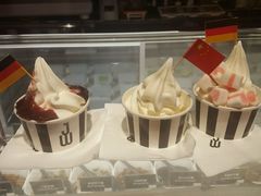 -JW德国冻酸奶Frozen Yogurt(龙湖成都滨江天街店)