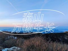 -泰山风景名胜区