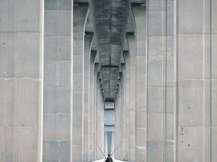 -中澳友谊花园