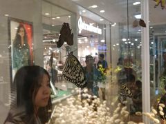 -护国寺小吃(安定门店)