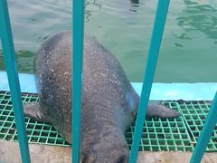 -北戴河圣蓝海洋公园