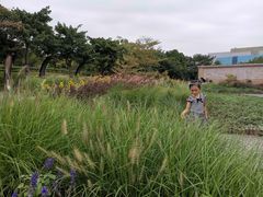 -映月湖公园