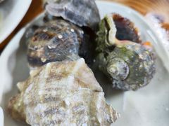 -板桥海鲜广场(文明东店)