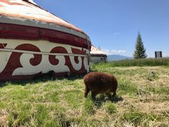 -新疆那拉提国家旅游度假区