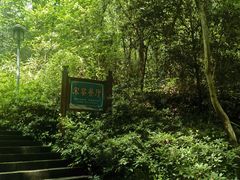 -宋宴(虎跑店)