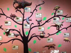 -酷嗒动物文化乐园(cutezoo西溪乐天城店)