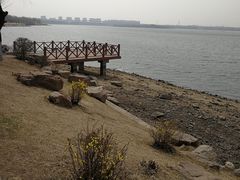 景点-丁香湖公园