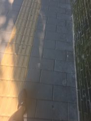 -金板寸
