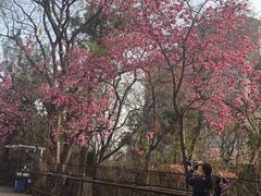 -昆明动物园
