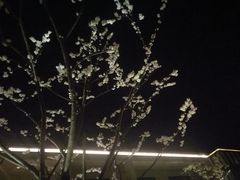 -水月周庄铂尔曼酒店-水月荟中餐厅