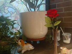 -安德烈俄式西餐厅(中央大街店)