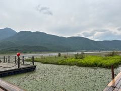-腾冲北海湿地