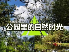 -长白岛森林公园