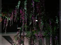 -要德火锅(鼓楼店)