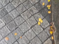 -嘉模圣母教堂