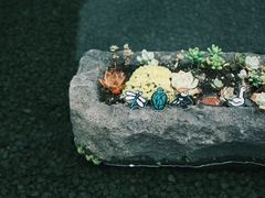 -楠溪江风景名胜区