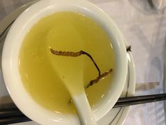 -琬苑鸽庄·川粤融合菜(解放碑总店)