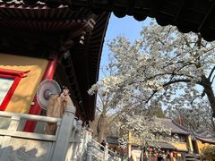-灵谷景区