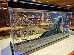 -大江户·温泉洗浴(浑南店)