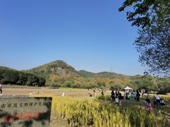 -八卦田遗址公园